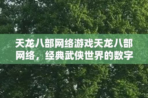 天龙八部网络游戏天龙八部网络，经典武侠世界的数字化再现，经典武侠再现，天龙八部网络游戏