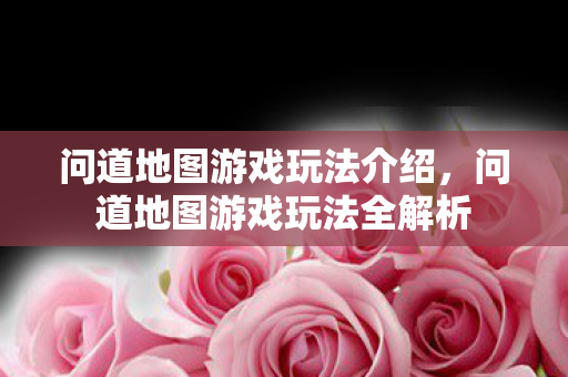 问道地图游戏玩法全解析图片