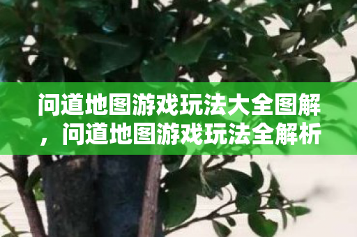 问道地图游戏玩法大全图解图片