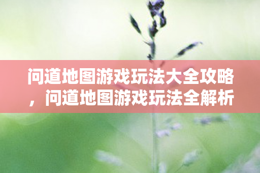 问道地图游戏玩法大全攻略图片