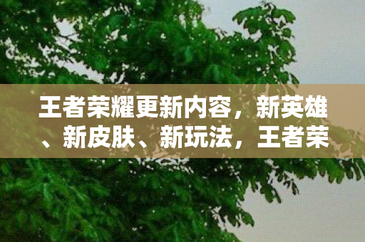王者荣耀更新内容图片