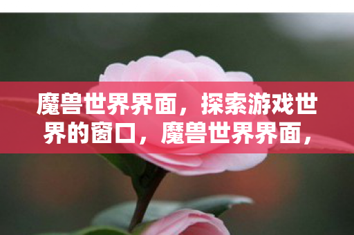 魔兽世界界面，探索游戏世界的窗口，魔兽世界界面，探索游戏世界的窗口