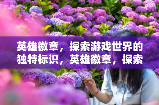 英雄徽章，探索游戏世界的独特标识，英雄徽章，探索游戏世界的独特标识