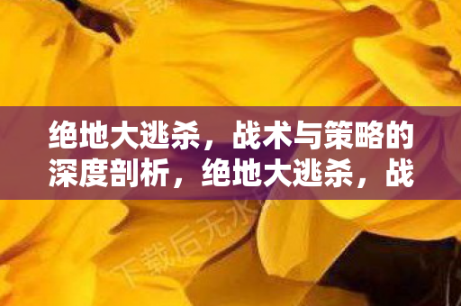 绝地大逃杀，战术与策略的深度剖析，绝地大逃杀，战术与策略的深度剖析