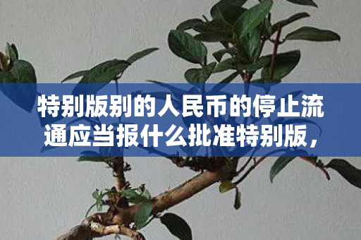 特别版别的人民币的停止流通应当报什么批准特别版，探索私服世界的奇妙之旅，探索私服世界，特别版人民币停止流通需获国务院批准