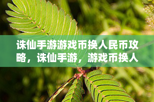 诛仙手游游戏币换人民币攻略图片