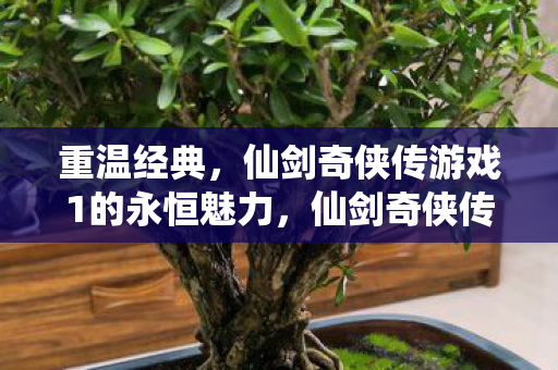 重温经典，仙剑奇侠传游戏1的永恒魅力，仙剑奇侠传1，永恒经典，重温不朽魅力