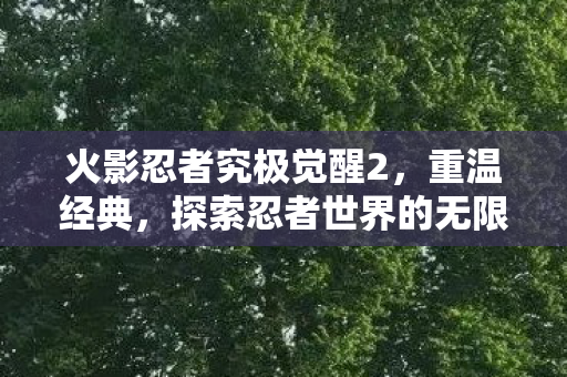 火影忍者究极觉醒2,重温经典,探索忍者世界的无限可能,火影忍者,究极觉醒2重温经典,探索忍者世界的无限可能 火影忍者究极觉醒2,重温经典,探索忍者世界的无限可能,火影忍者,究极觉醒2重温经典,探索忍者世界的无限可能