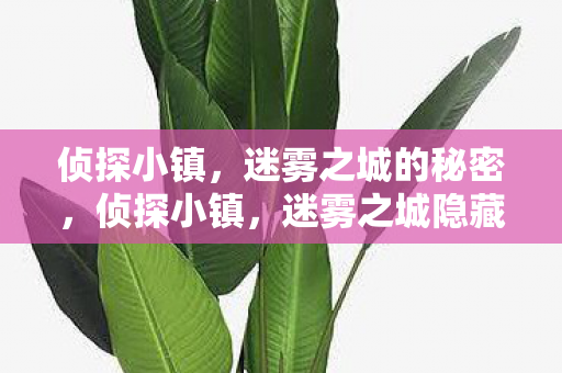 侦探小镇，迷雾之城的秘密，侦探小镇，迷雾之城隐藏的秘密揭晓