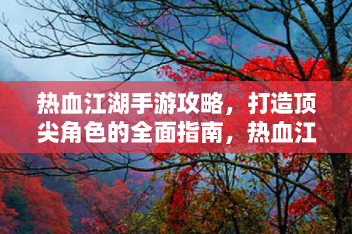 打造顶尖角色的全面指南图片