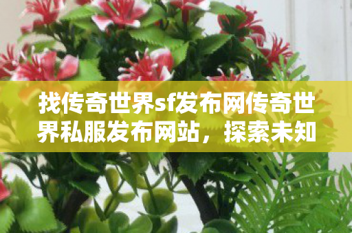 找传奇世界sf发布网传奇世界私服发布网站图片