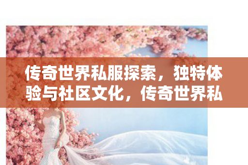 独特体验与社区文化的探索之旅图片