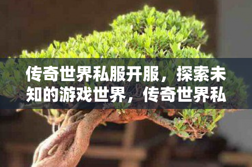 探索未知的游戏世界图片