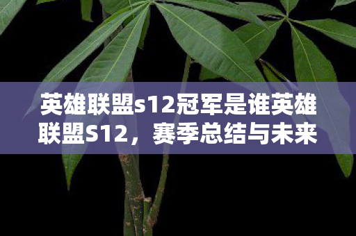 英雄联盟s12冠军是谁英雄联盟S12，赛季总结与未来展望，英雄联盟S12赛季总结，冠军揭晓与未来展望