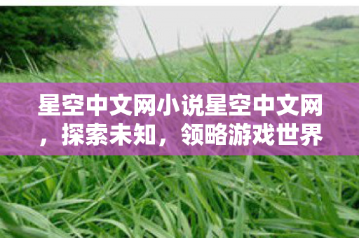 星空中文网小说星空中文网,探索未知,领略游戏世界的无限可能,星空中文网,探索游戏世界的无限可能 星空中文网小说星空中文网,探索未知,领略游戏世界的无限可能,星空中文网,探索游戏世界的无限可能