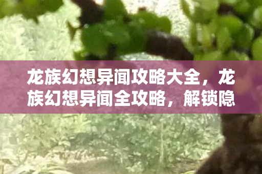 龙族幻想异闻攻略大全图片