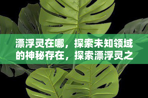 漂浮灵在哪,探索未知领域的神秘存在,探索漂浮灵之谜,未知领域的神秘存在 漂浮灵在哪,探索未知领域的神秘存在,探索漂浮灵之谜,未知领域的神秘存在