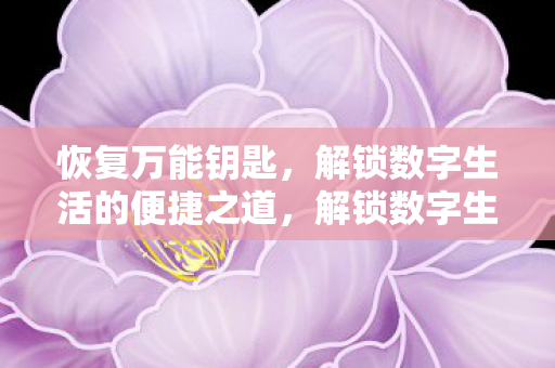 恢复万能钥匙，解锁数字生活的便捷之道，解锁数字生活，恢复万能钥匙的便捷之道