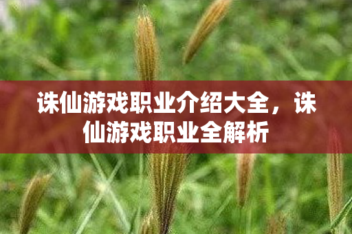 诛仙游戏职业介绍大全图片
