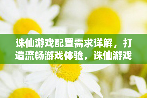 诛仙游戏配置需求详解，打造流畅游戏体验，诛仙游戏配置需求全解析，打造流畅游戏体验