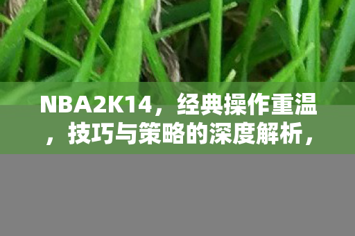 NBA2K14，经典操作重温，技巧与策略的深度解析，NBA2K14经典操作重温，深度解析技巧与策略