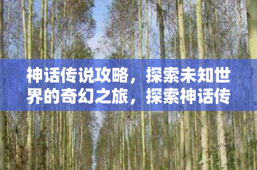 神话传说攻略，探索未知世界的奇幻之旅，探索神话传说，奇幻之旅的攻略与指南