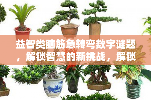 益智类脑筋急转弯数字谜题，解锁智慧的新挑战，解锁智慧新挑战，数字谜题与脑筋急转弯