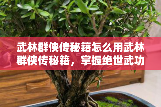 武林群侠传秘籍怎么用武林群侠传秘籍，掌握绝世武功的奥秘，武林群侠传秘籍，解锁绝世武功的奥秘