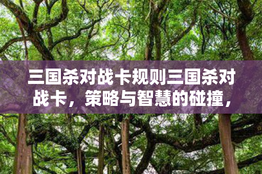 三国杀对战卡规则三国杀对战卡，策略与智慧的碰撞，三国杀对战卡，策略与智慧的碰撞