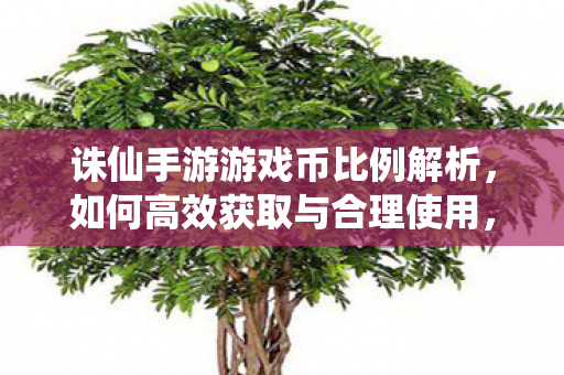 诛仙手游游戏币比例解析，如何高效获取与合理使用，揭秘诛仙手游游戏币比例，高效获取与合理使用攻略