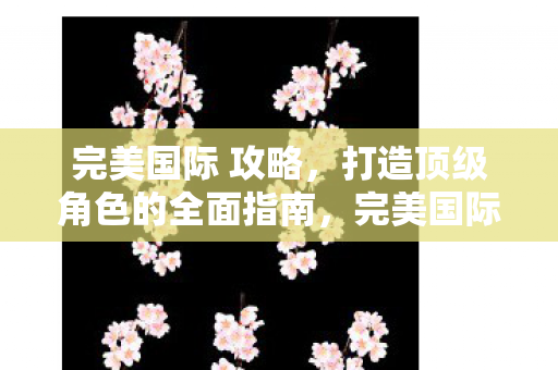 完美国际 攻略，打造顶级角色的全面指南，完美国际打造顶级角色全面攻略