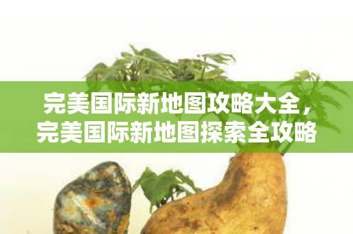 完美国际新地图攻略大全,完美国际新地图探索全攻略 完美国际新地图攻略大全,完美国际新地图探索全攻略