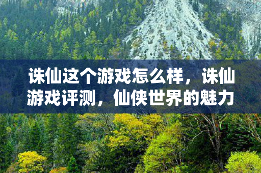 诛仙这个游戏怎么样，诛仙游戏评测，仙侠世界的魅力与挑战