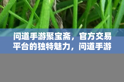 官方交易平台的独特魅力图片