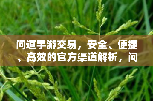 问道手游交易，安全、便捷、高效的官方渠道解析，问道手游官方交易渠道，安全、便捷、高效全解析