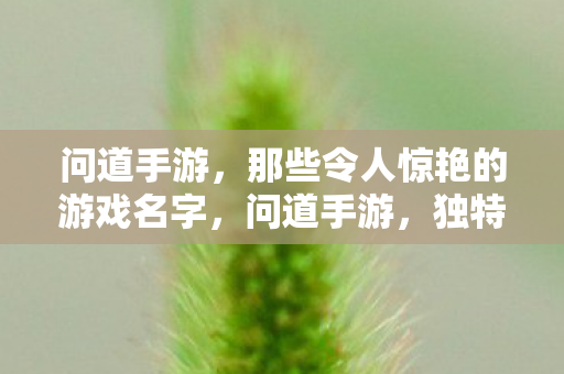 那些令人惊艳的游戏名字图片
