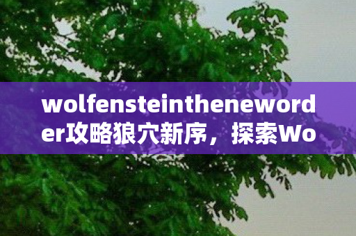 wolfensteintheneworder攻略狼穴新序，探索Wolfenstein: The New Order的奇幻世界，探索奇幻世界，Wolfenstein: The New Order攻略