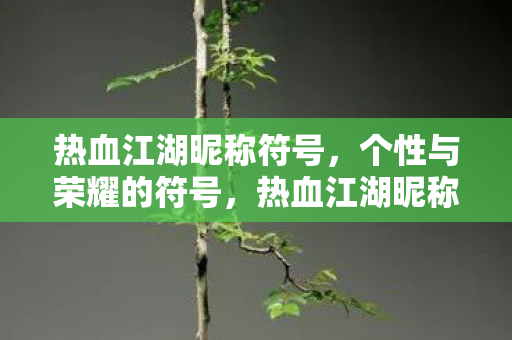 热血江湖昵称符号，个性与荣耀的符号，热血江湖昵称符号，彰显个性与荣耀的符号