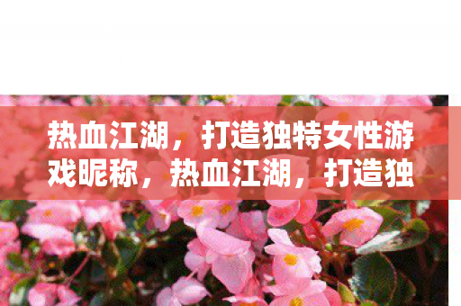 热血江湖,打造独特女性游戏昵称,热血江湖,打造独特女性游戏昵称 热血江湖,打造独特女性游戏昵称,热血江湖,打造独特女性游戏昵称
