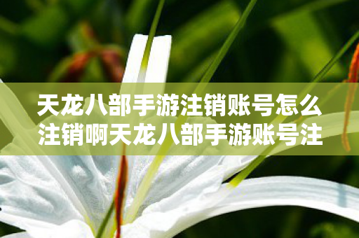 天龙八部手游注销账号怎么注销啊天龙八部手游账号注销全攻略图片