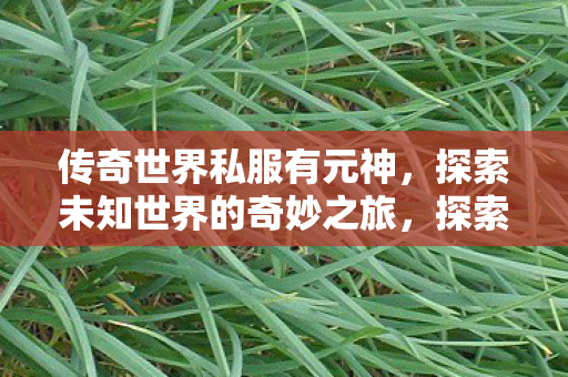 探索未知世界的奇妙之旅图片