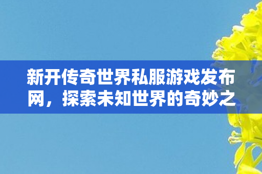 新开传奇世界私服游戏发布网图片
