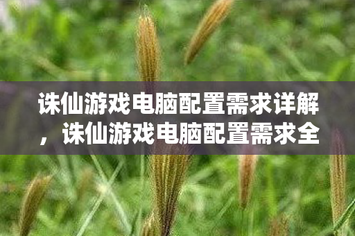 诛仙游戏电脑配置需求全解析图片