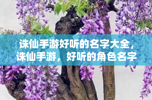 诛仙手游好听的名字大全图片