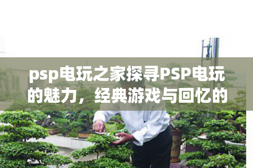 psp电玩之家探寻PSP电玩的魅力，经典游戏与回忆的交汇点，PSP电玩之家，经典游戏与回忆的交汇点