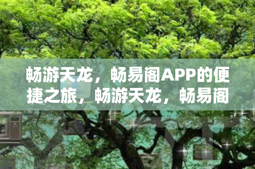 畅游天龙,畅易阁APP的便捷之旅,畅游天龙,畅易阁APP的便捷之旅 畅游天龙,畅易阁APP的便捷之旅,畅游天龙,畅易阁APP的便捷之旅