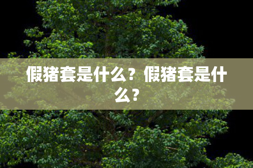 假猪套是什么？假猪套是什么？