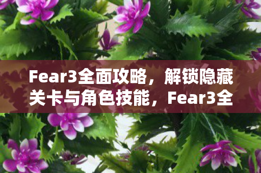 Fear3全面攻略,解锁隐藏关卡与角色技能,Fear3全面攻略,解锁隐藏关卡与角色技能 Fear3全面攻略,解锁隐藏关卡与角色技能,Fear3全面攻略,解锁隐藏关卡与角色技能