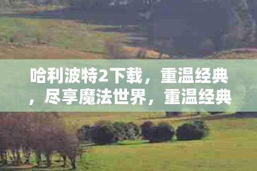 哈利波特2下载，重温经典，尽享魔法世界，重温经典魔法世界，哈利波特2免费下载