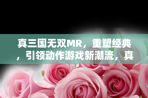 真三国无双MR，重塑经典，引领动作游戏新潮流，真三国无双MR重塑经典，引领动作游戏新潮流